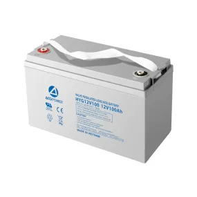 ACOPower 12V 100Ah Rechargeable Gel Deep Cycle Battery with Button Style Terminals