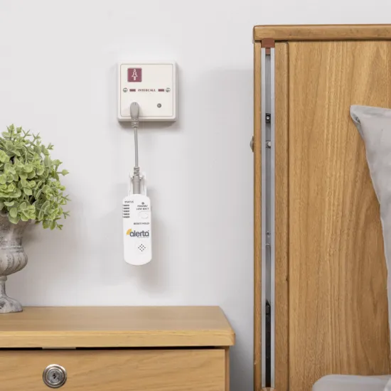Alerta - Wireless - Alarm Monitor - Wireless / AlertaDetect
