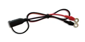 CTEK Connect Eyelet M6 (CTEK56-260)