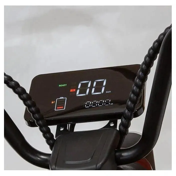 EW-12| 500W 48V 3 Wheel Sport Style Electric Scooter