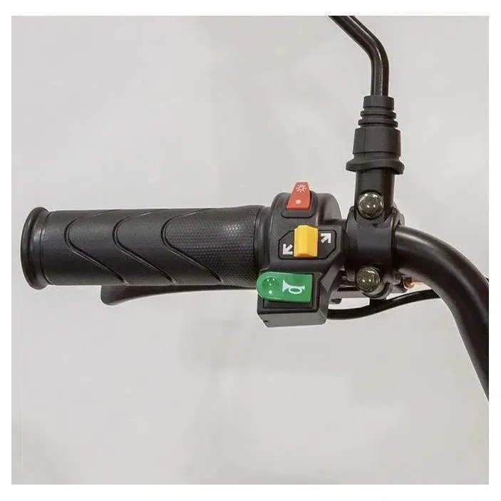 EW-12| 500W 48V 3 Wheel Sport Style Electric Scooter