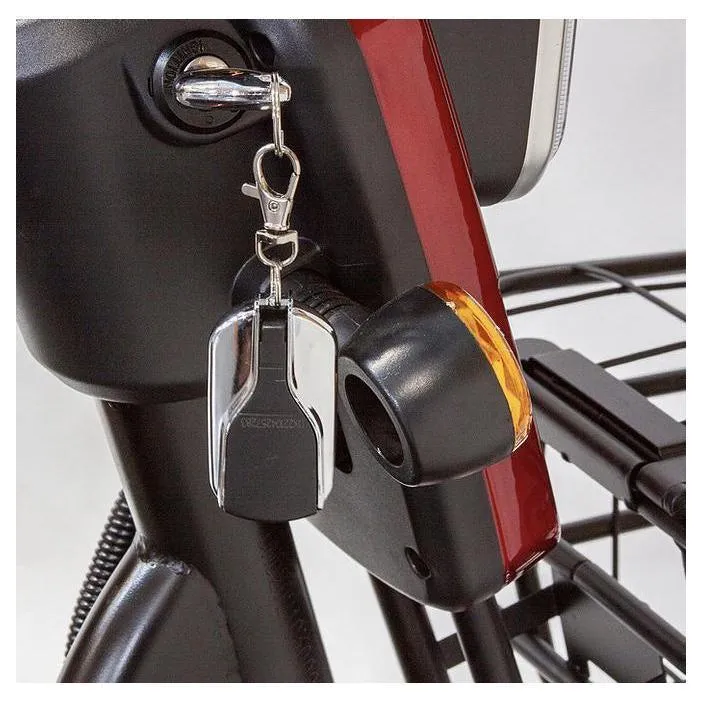 EW-12| 500W 48V 3 Wheel Sport Style Electric Scooter