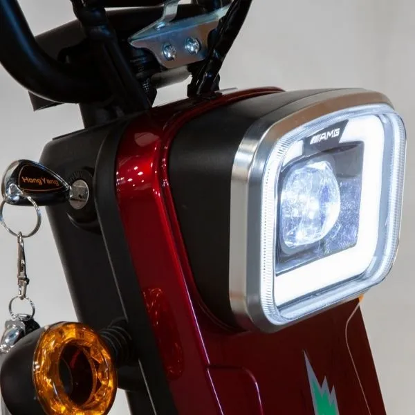 EWheels EW-12 Three Wheel Scooter