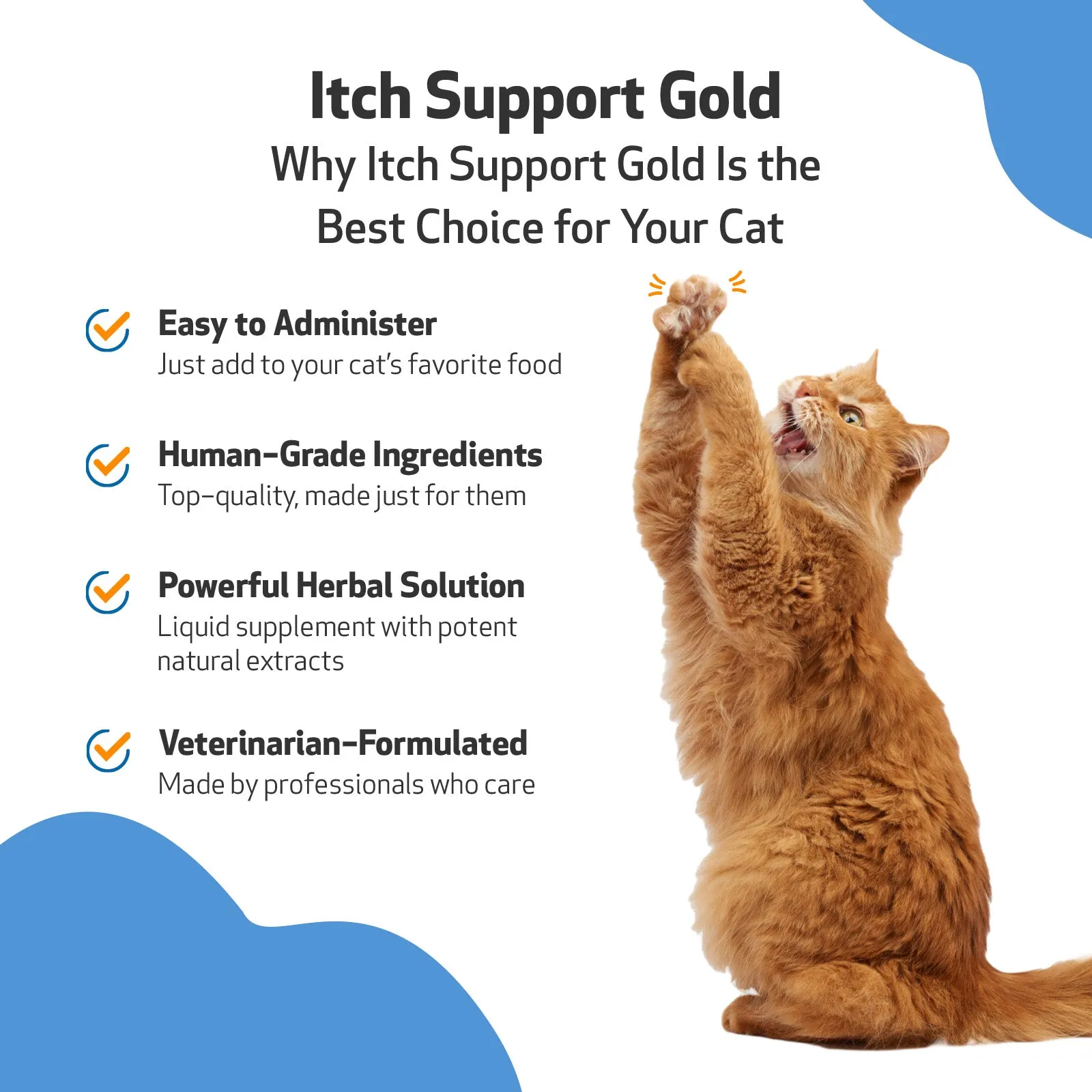 Itch Support Gold - for Occasional Skin Discomfort in Cats