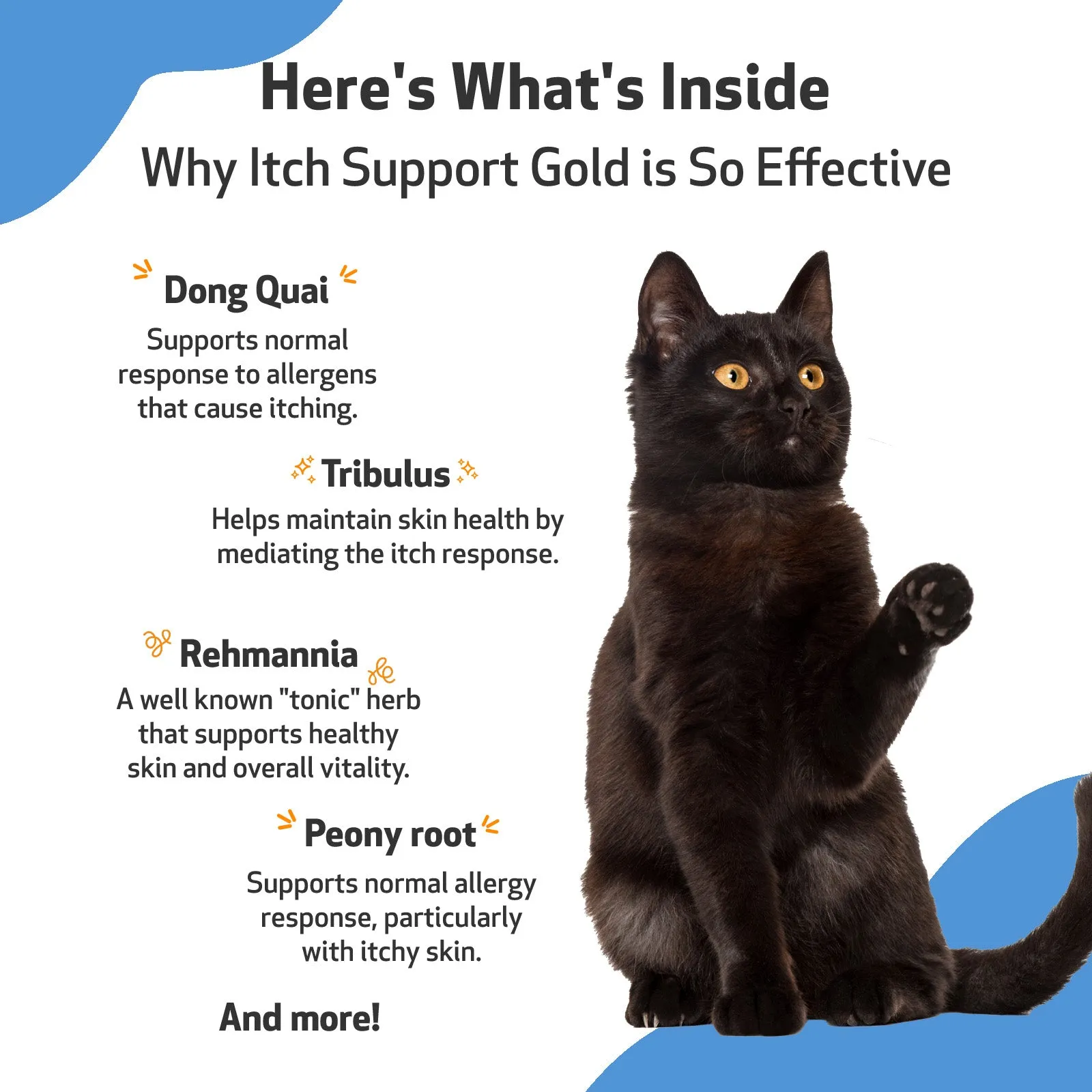 Itch Support Gold - for Occasional Skin Discomfort in Cats