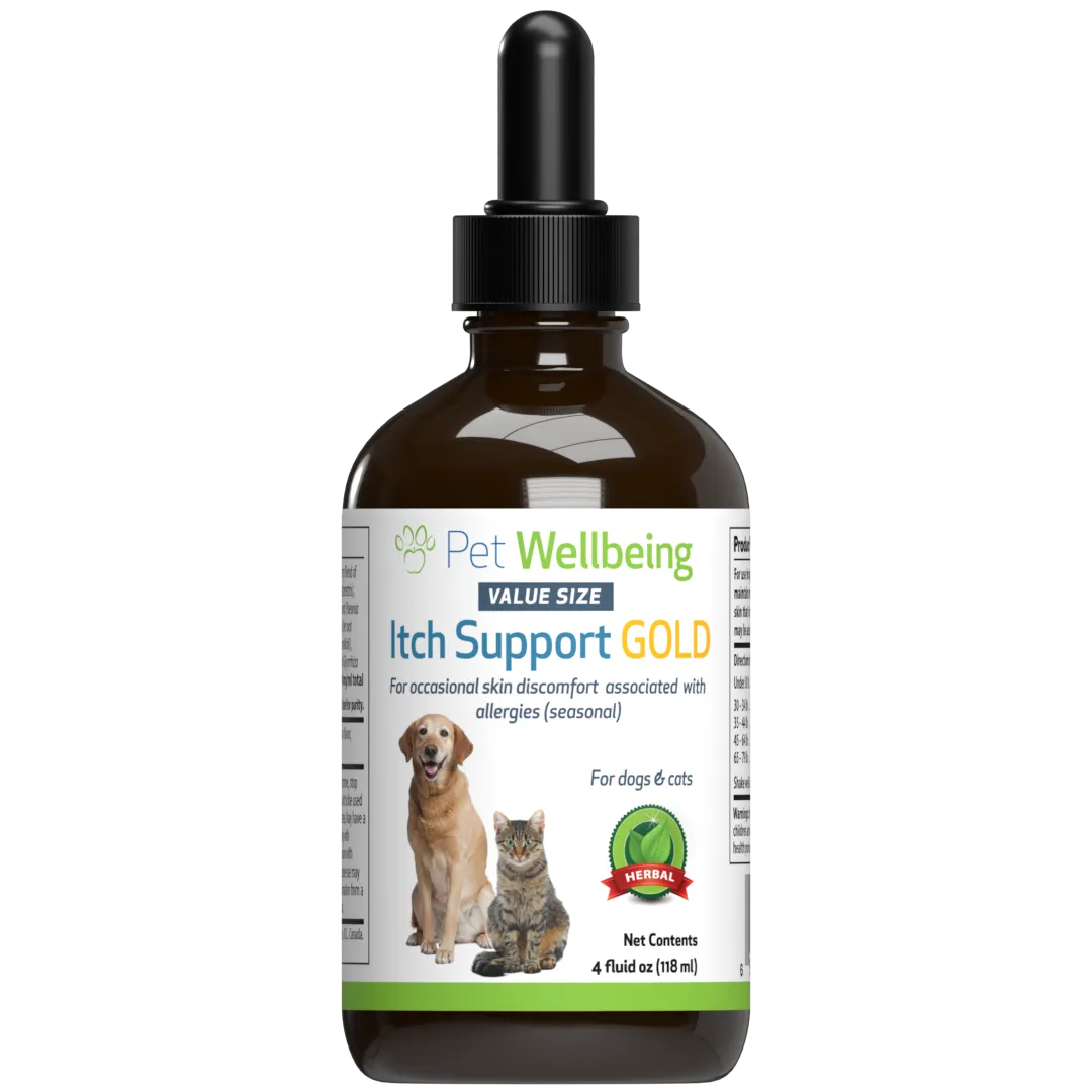Itch Support Gold - for Occasional Skin Discomfort in Cats