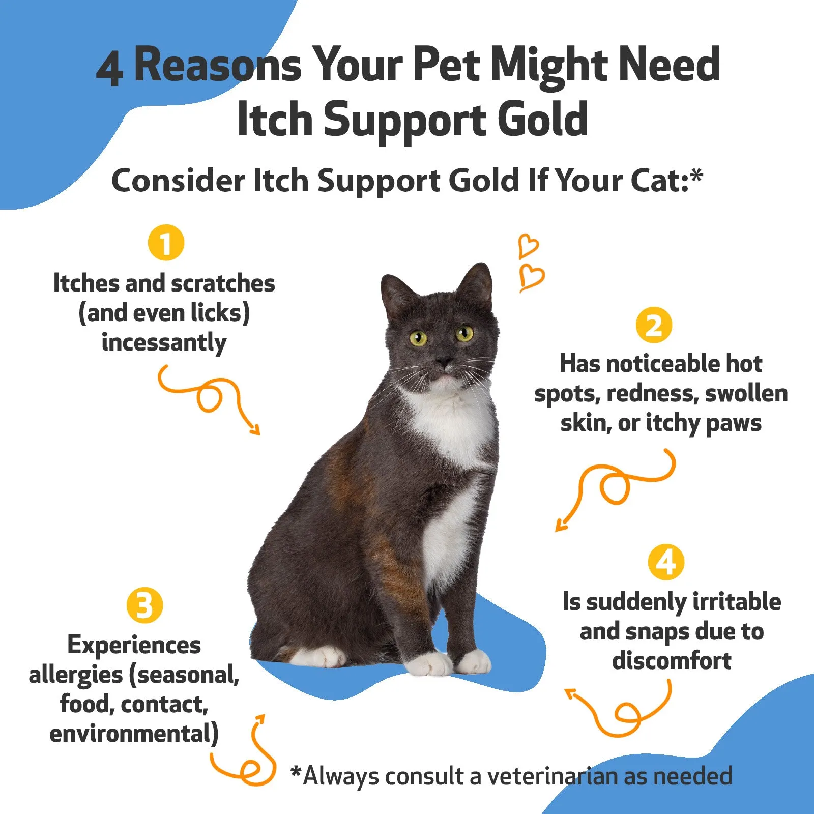 Itch Support Gold - for Occasional Skin Discomfort in Cats