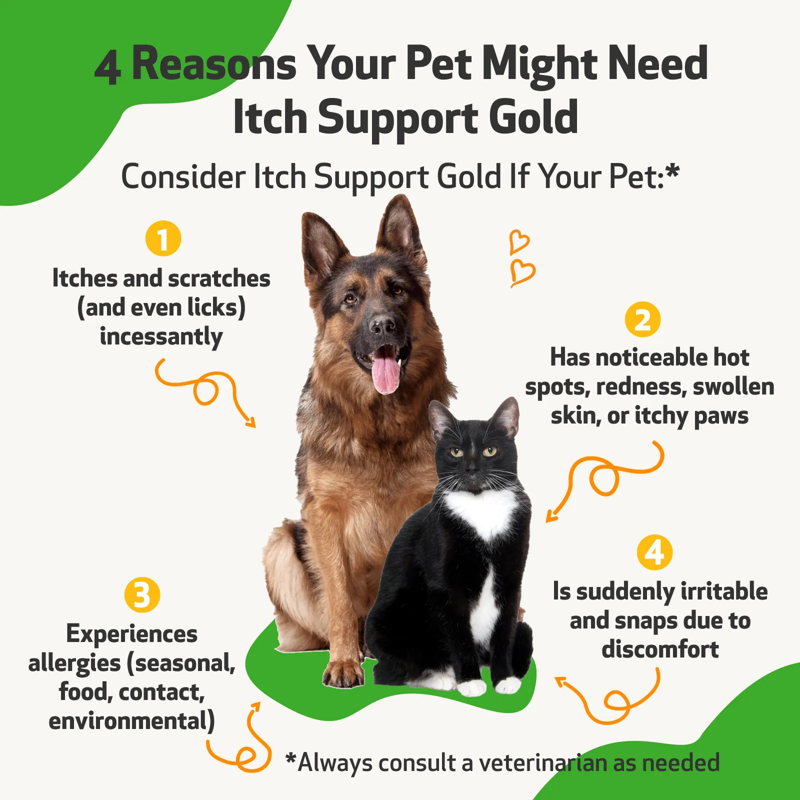 Itch Support Gold - for Occasional Skin Discomfort in Dogs