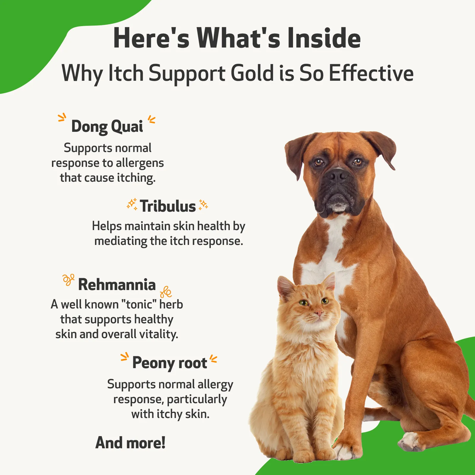 Itch Support Gold - for Occasional Skin Discomfort in Dogs