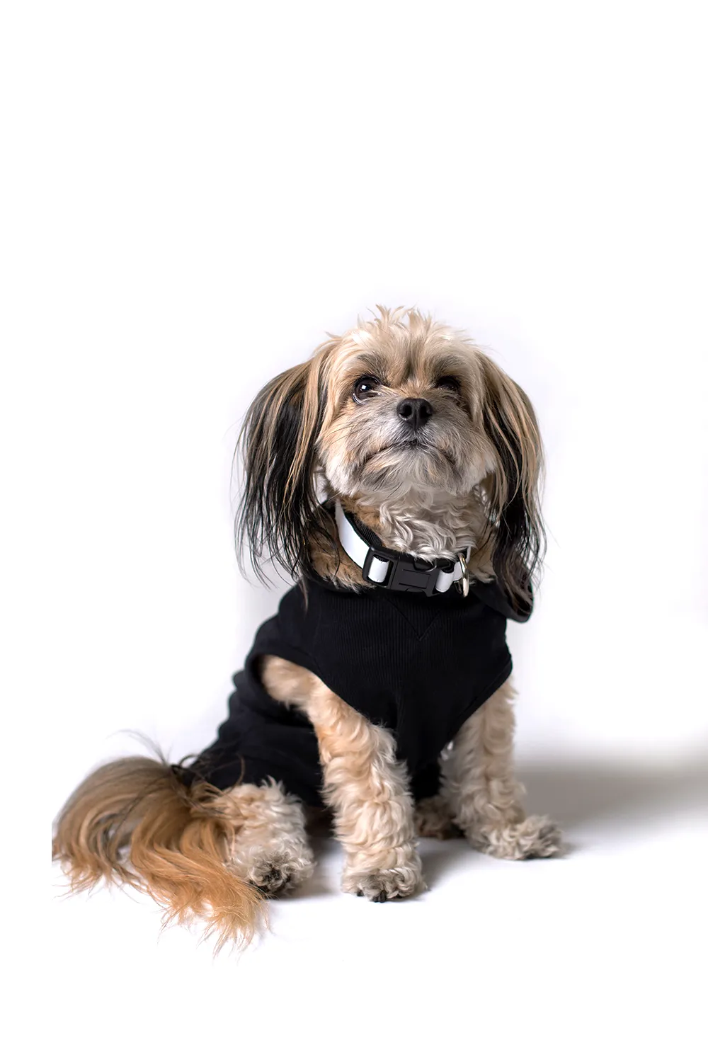 K-9 Security Dog Hoodie
