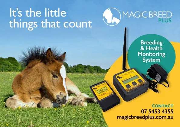 Magic Breed Plus Foaling Alarm