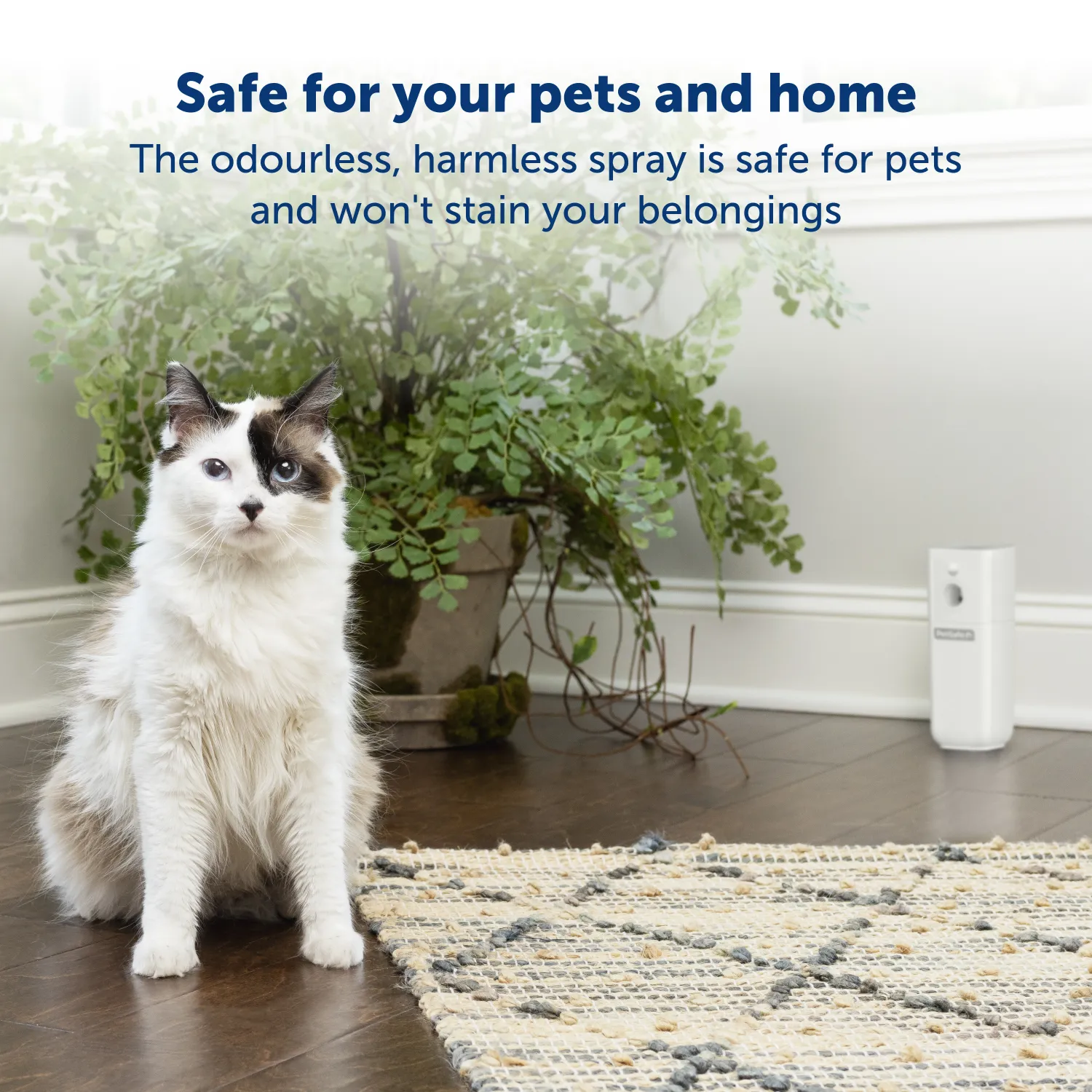 SSSCAT™ Automatic Spray Pet Deterrent